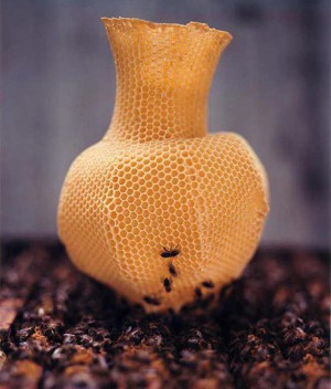 Vase en cire d'abeille-1