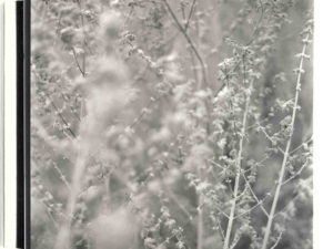 jean-daubas-worshop-05