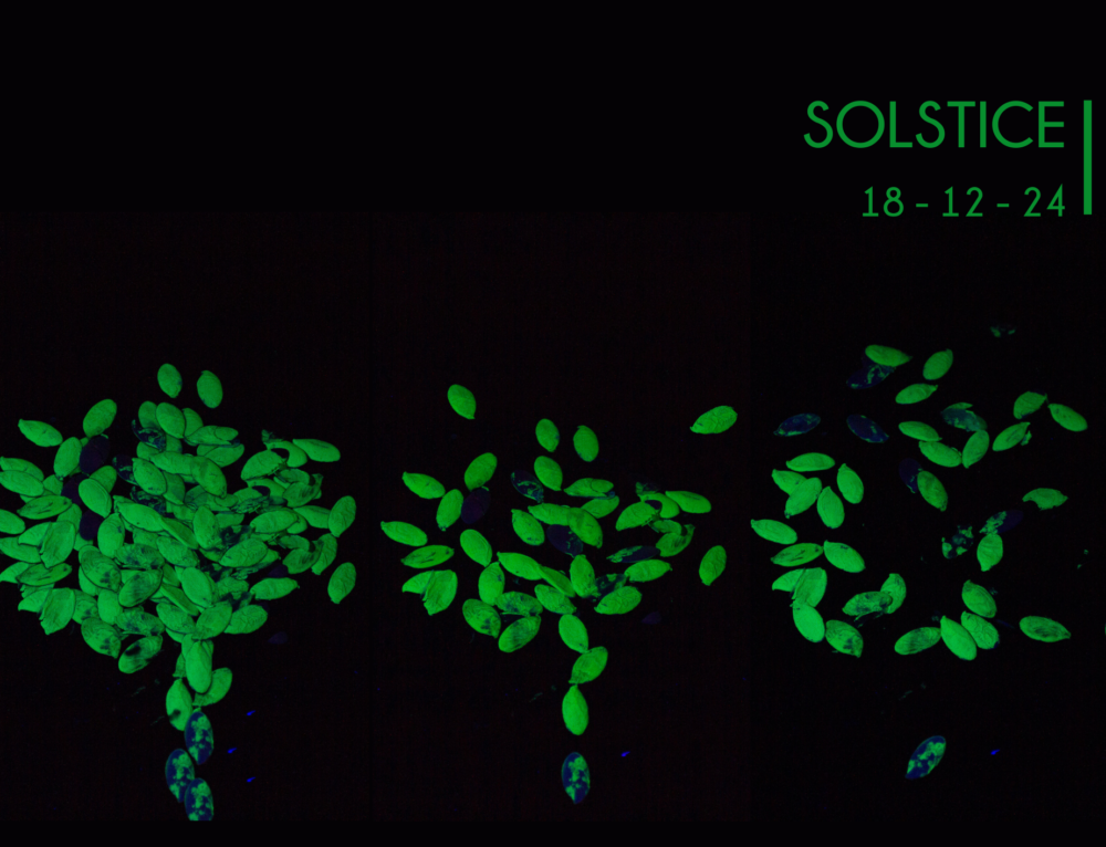 Solstice d’hiver : 18 décembre 2024 | 18 h