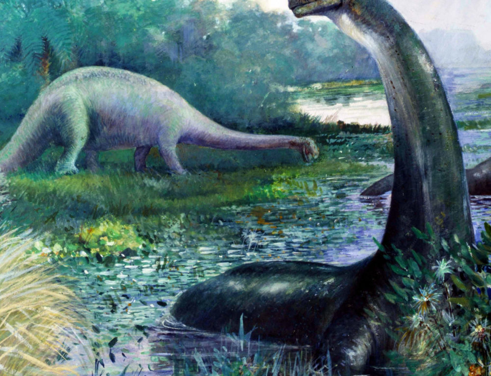 AVRIL 2026 | STAGES DE PRINTEMPS